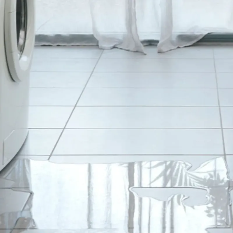 Appliance Leak Cleanup in Bushnell, IL