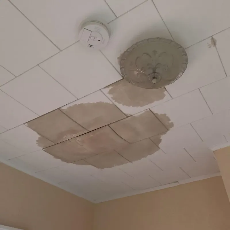 Ceiling Water Damage Repair in Bushnell, IL