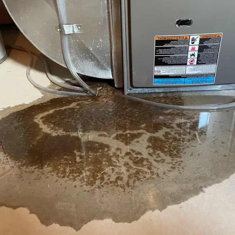 Pipe Burst and Leak Restoration in Bushnell, IL