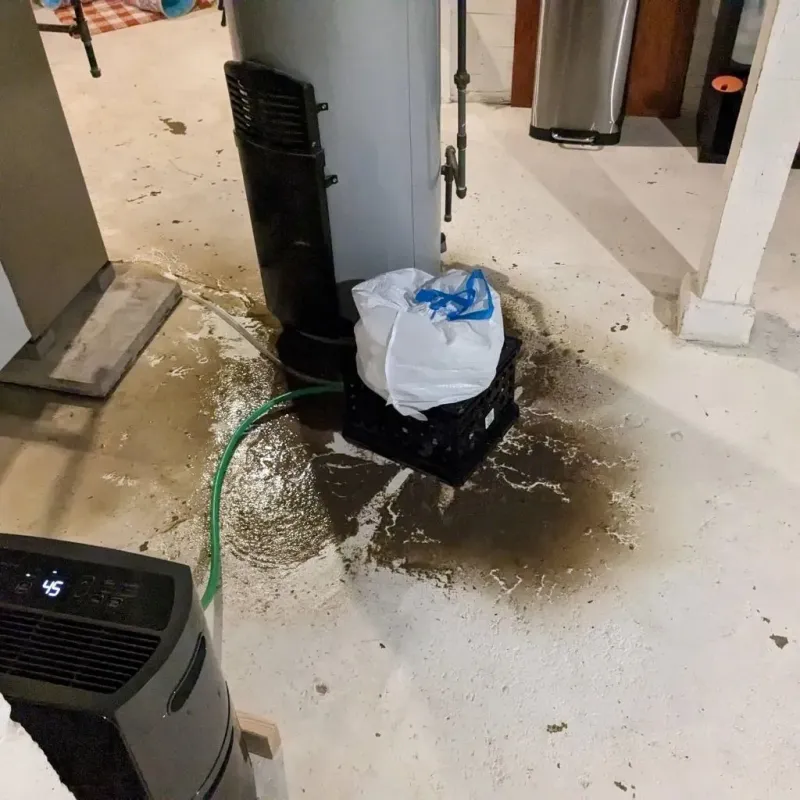 Sewage Backup Cleanup Service in Bushnell, IL